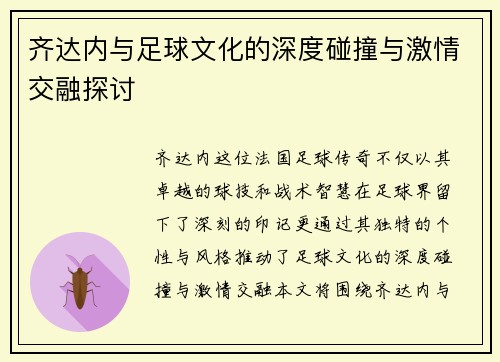 齐达内与足球文化的深度碰撞与激情交融探讨