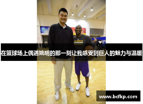 在篮球场上偶遇姚明的那一刻让我感受到巨人的魅力与温暖