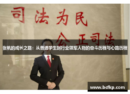 张帆的成长之路：从普通学生到行业领军人物的奋斗历程与心路历程